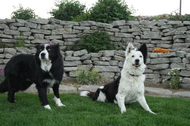 Idaho Open Fiddle-Battle of the Snake Softball 149