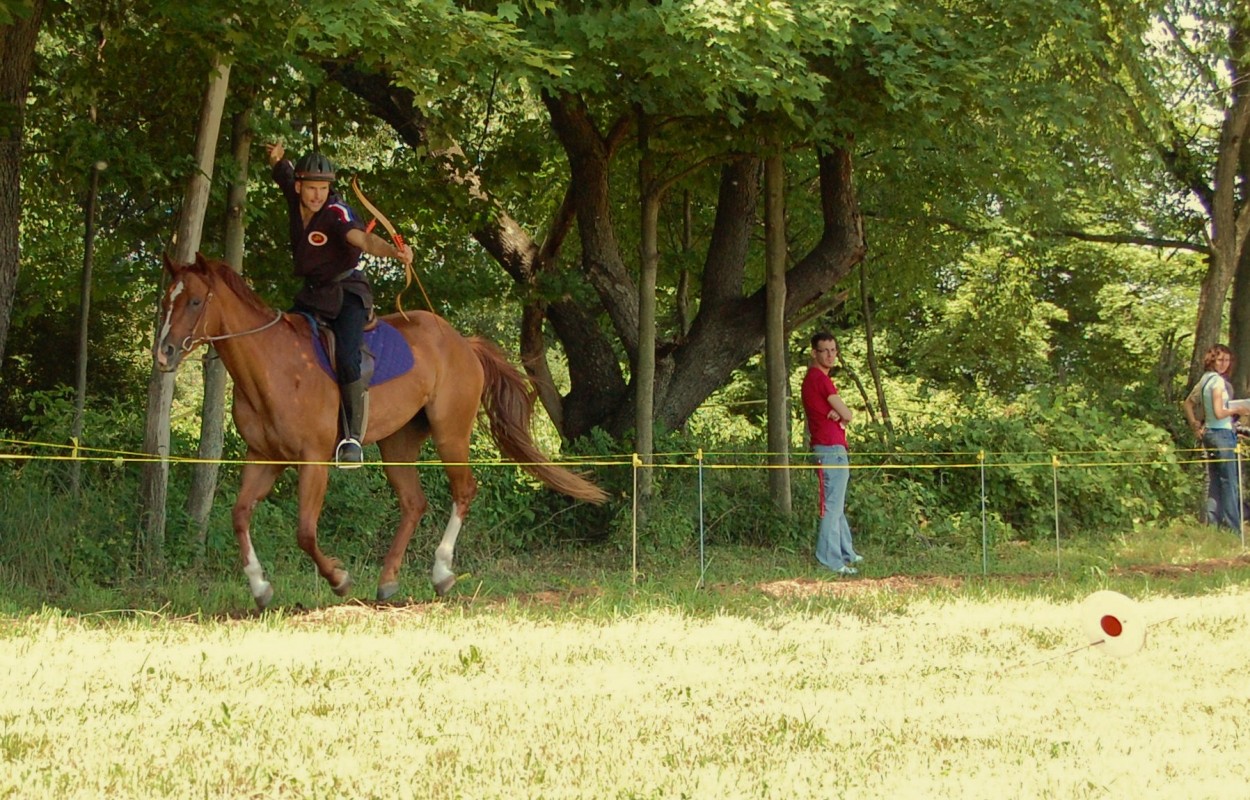 Super Premium Dog Food Dynamite Specialty Products