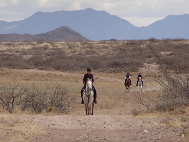 March Grytsje and NM ride 226