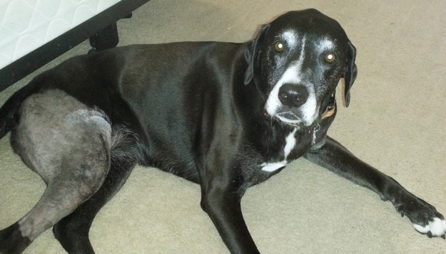 20140921_112136_sm_crop