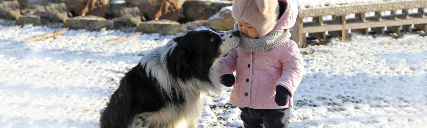 Baby Girl with Dog