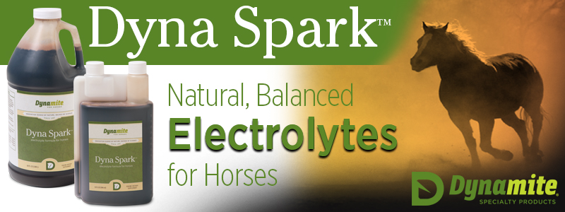 Dyna Spark electrolyte for horses