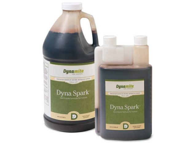 Dyna Spark Dyna Spark Equine Electrolyte