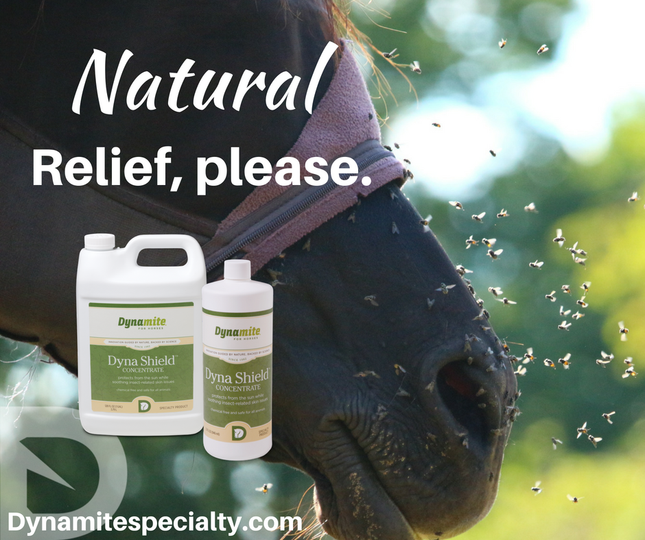 FB_ Natural Relief D-Shield